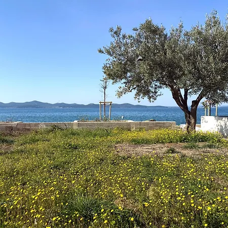 Apartmán Beachfront Petar