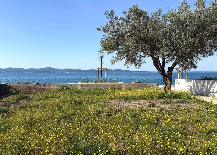Apartment Beachfront Petar